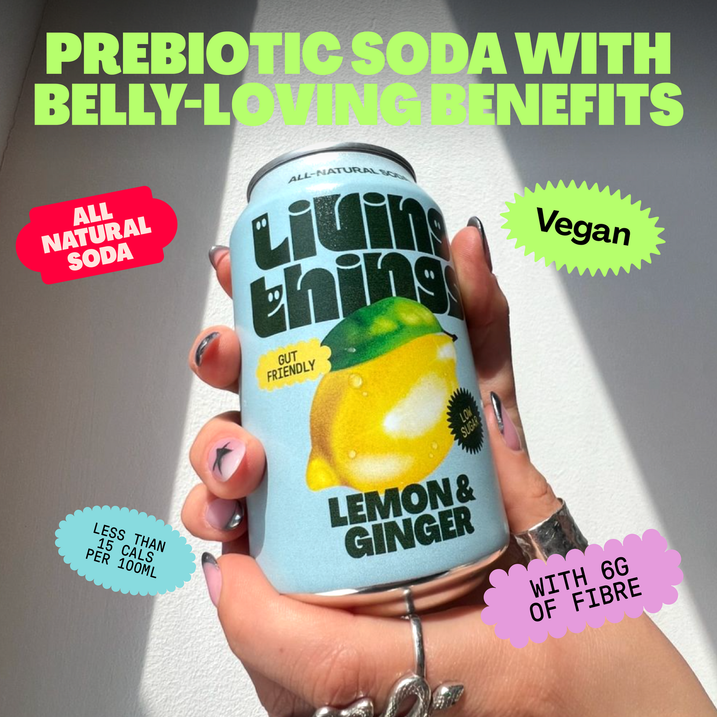 Lemon & Ginger - 12 pack