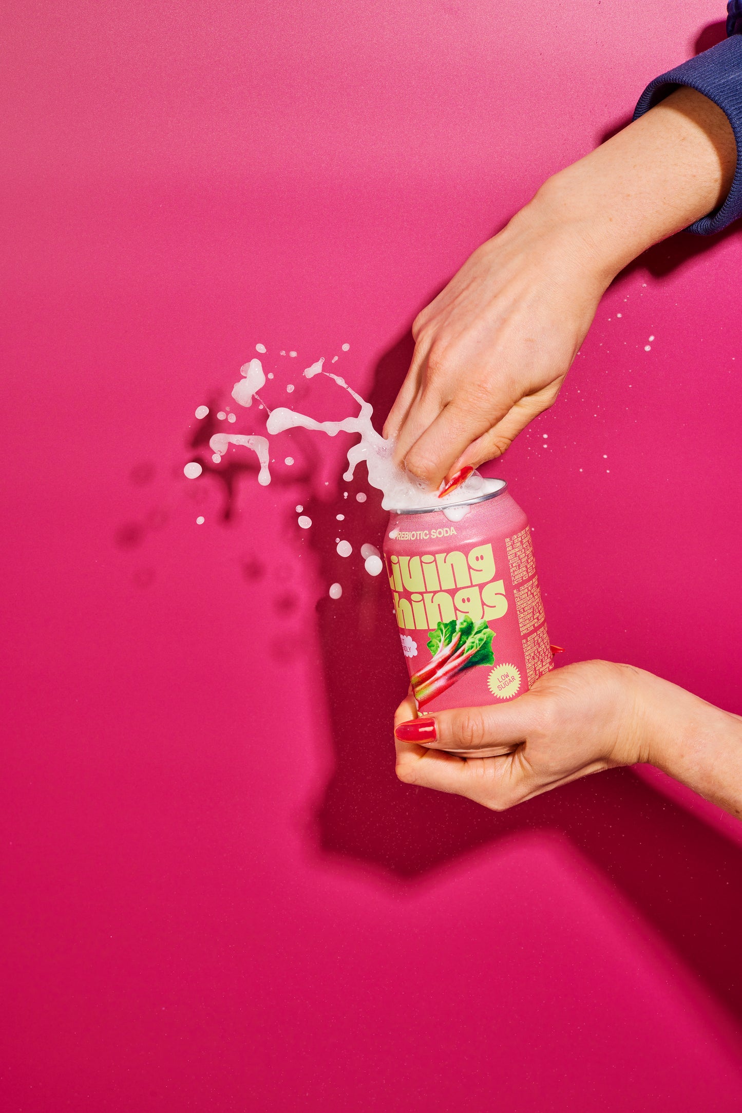 Rhubarb & Apple - 12 Pack
