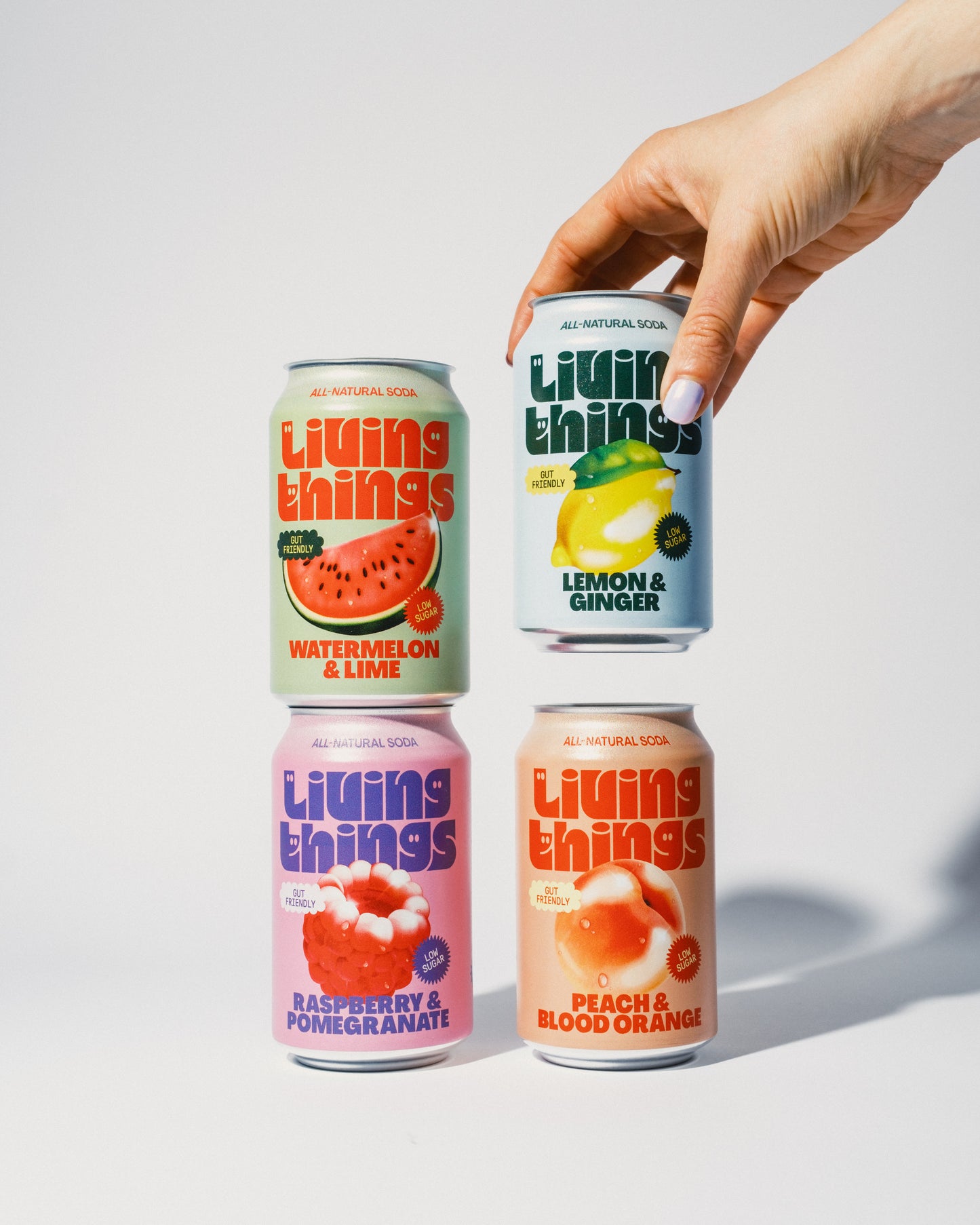 Mixed Case - 12 pack