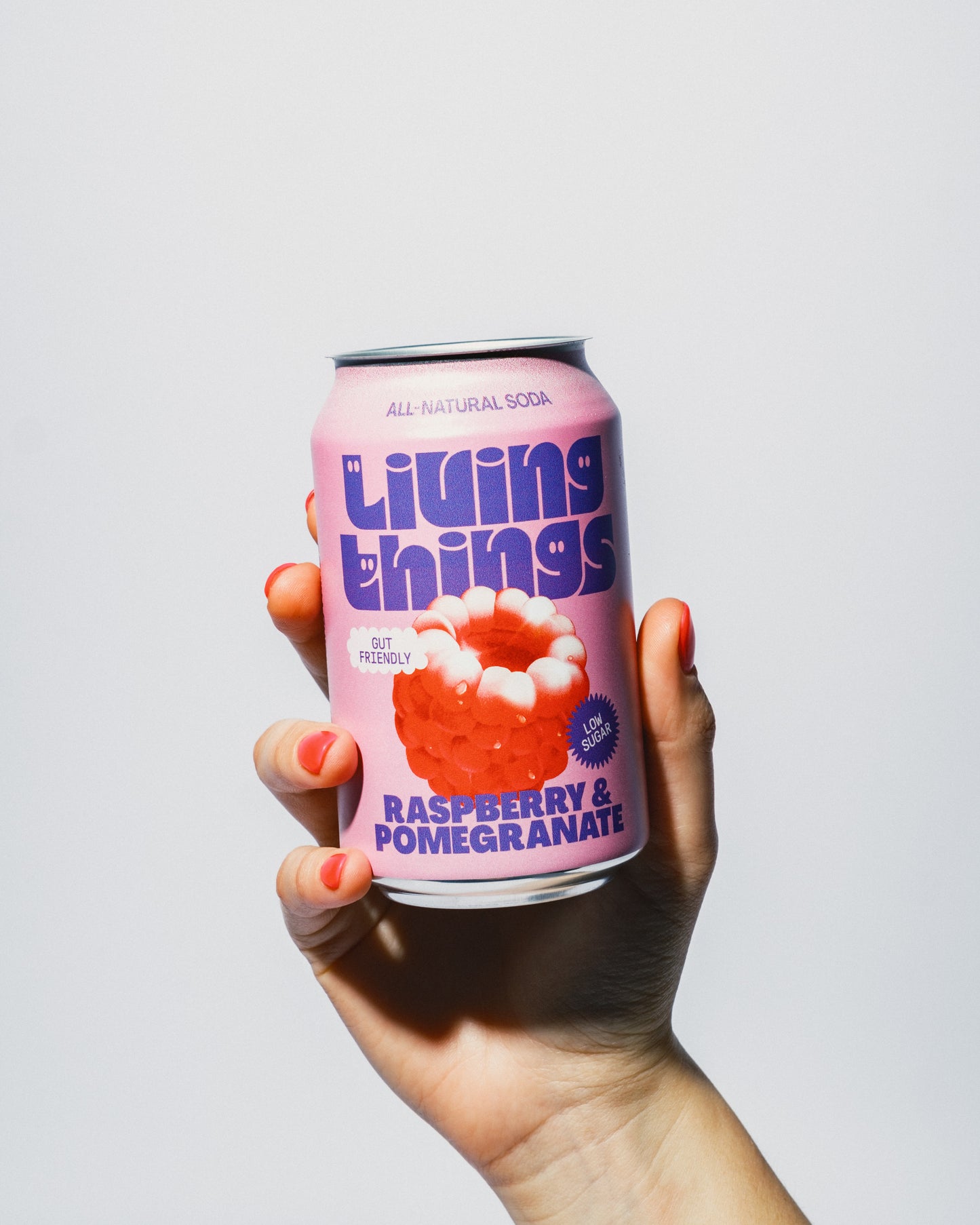 Raspberry & Pomegranate - 12 pack