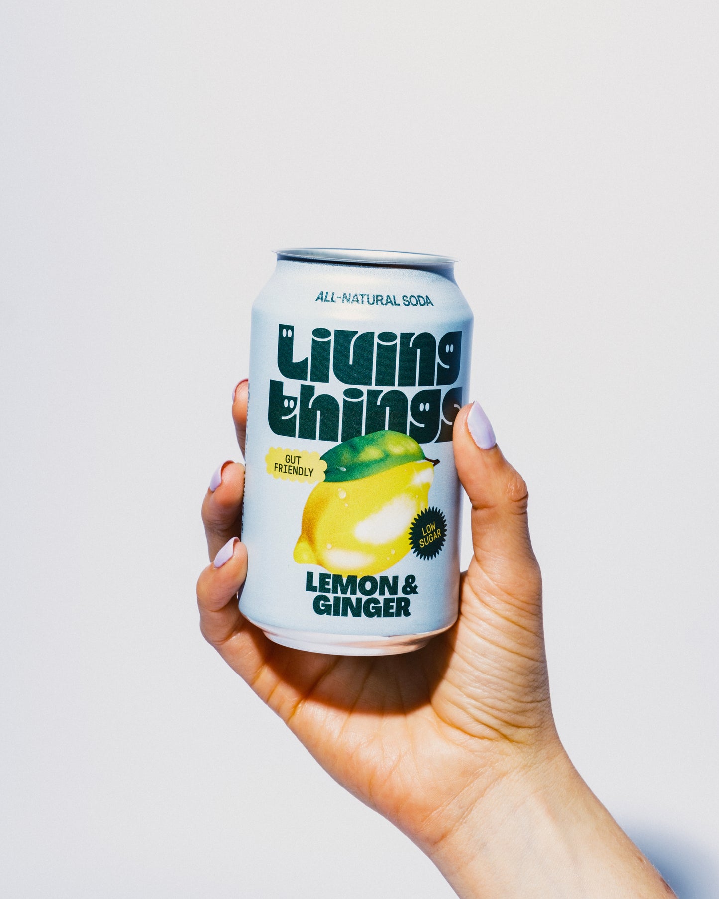 Lemon & Ginger - 12 pack