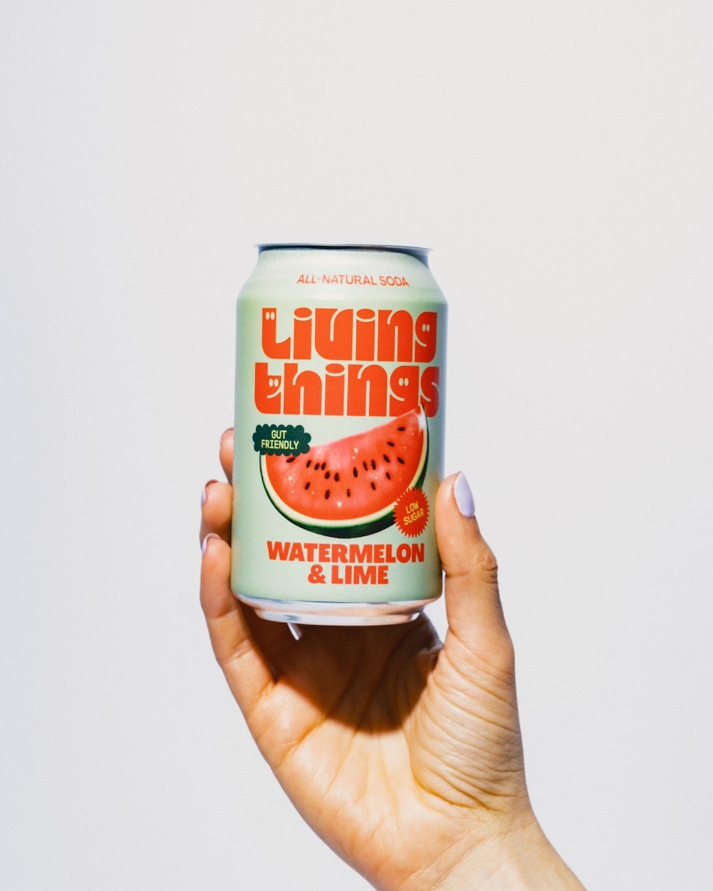 Watermelon & Lime - 12 Pack
