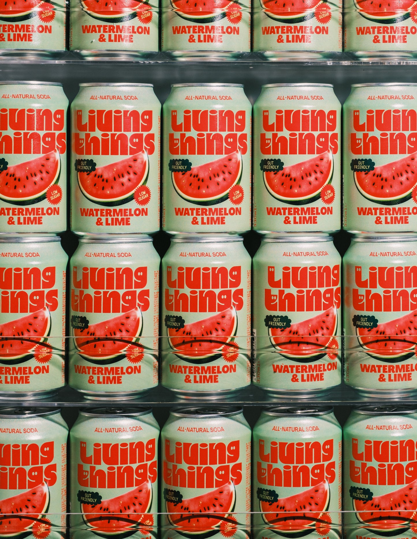 Watermelon & Lime - 12 Pack