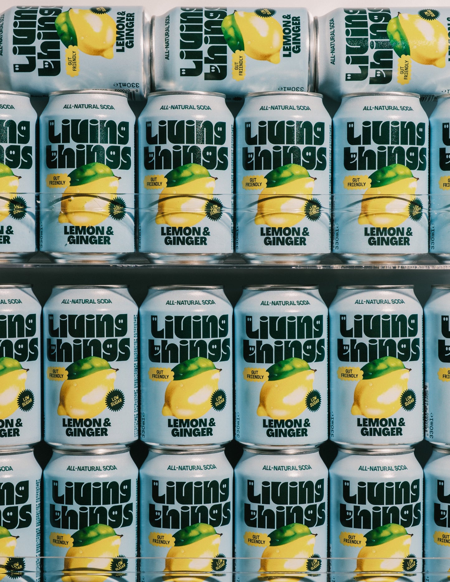Lemon & Ginger - 12 pack