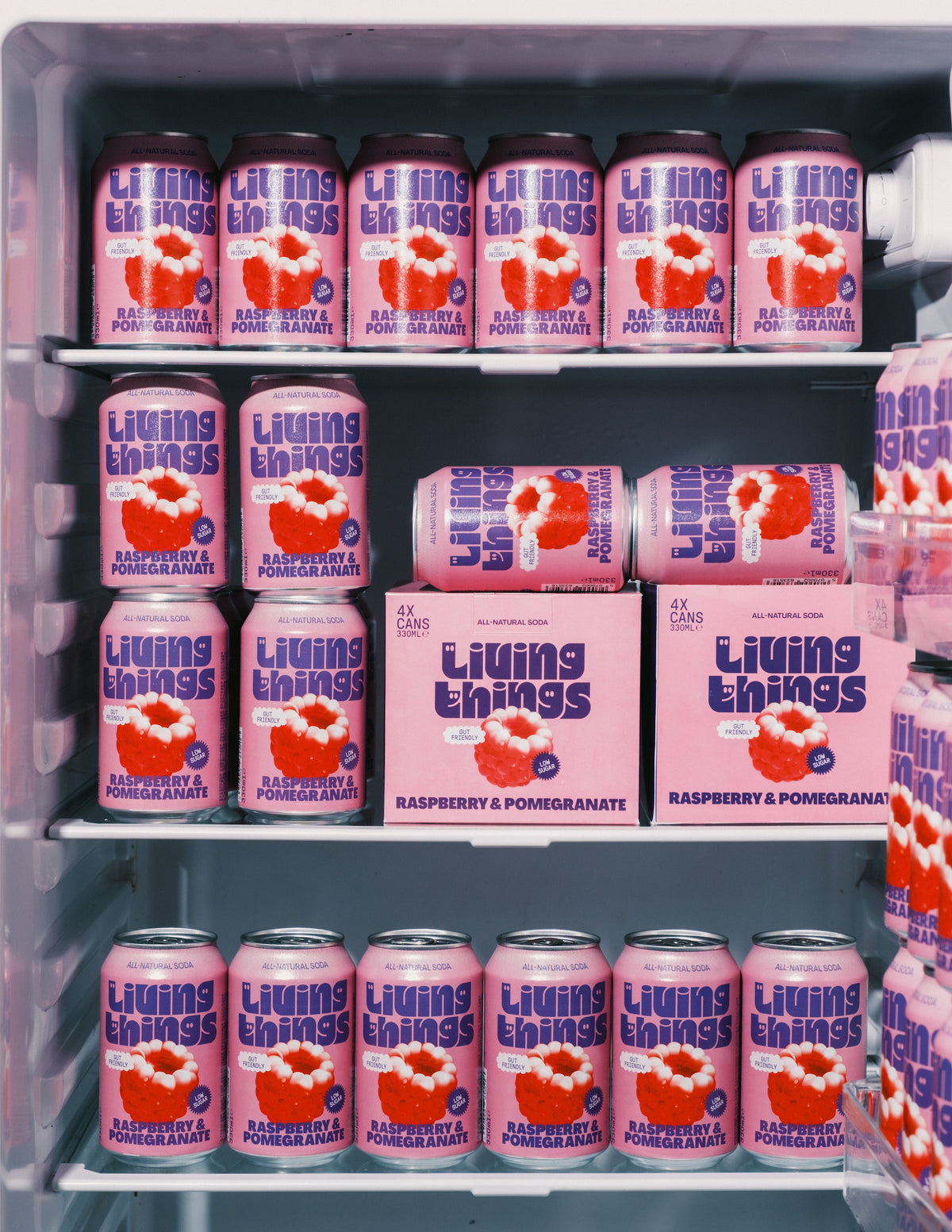 Living Things Raspberry & Pomegranate Prebiotic Soda