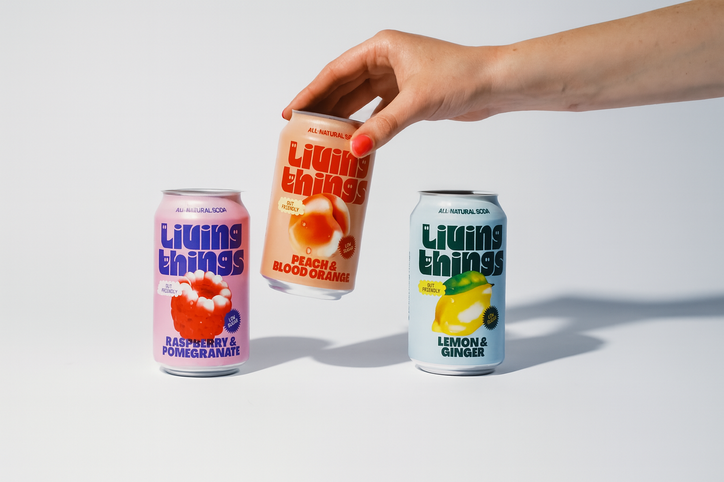 TK Maxx x3 Can Soda Bundle